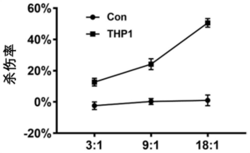 T cell receptor and application thereof