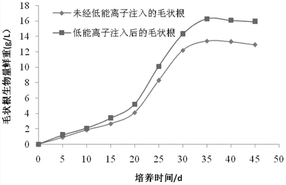 Method for improving yield of baicalin from hairy roots of scutellaria baicalensis