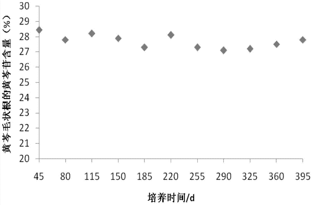 Method for improving yield of baicalin from hairy roots of scutellaria baicalensis