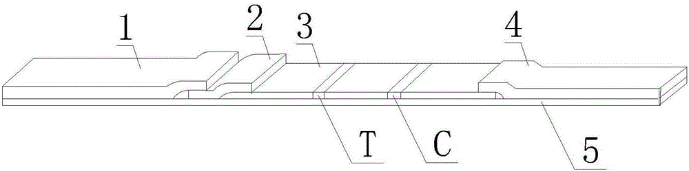 Melatonin rapid detection method, detection card and preparation method thereof