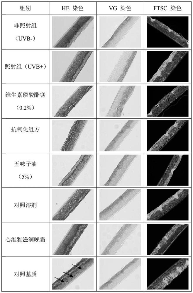 Method for evaluating antioxidant effects of cosmetic products and raw materials