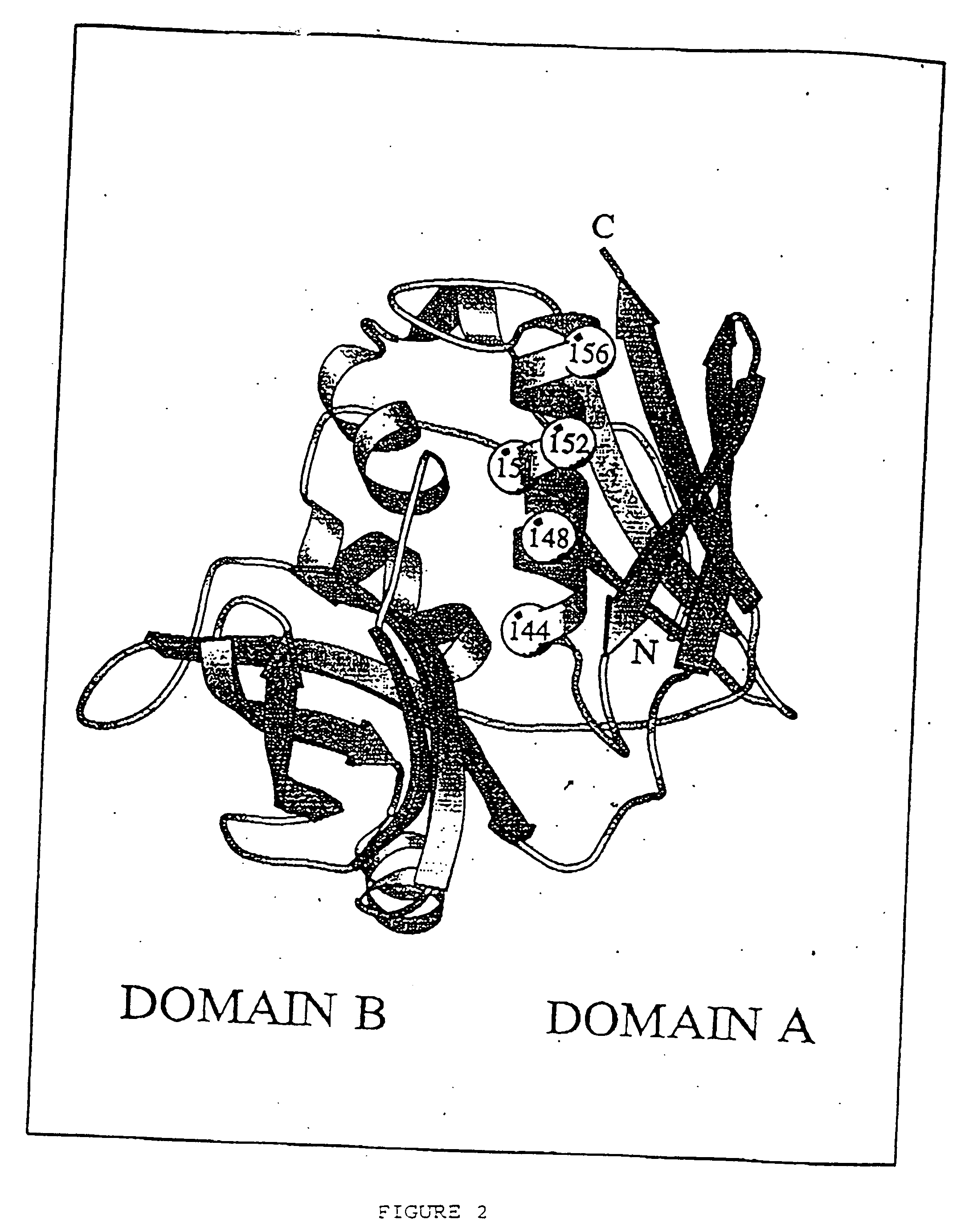 Mutants of streptococcal toxin A and methods of use