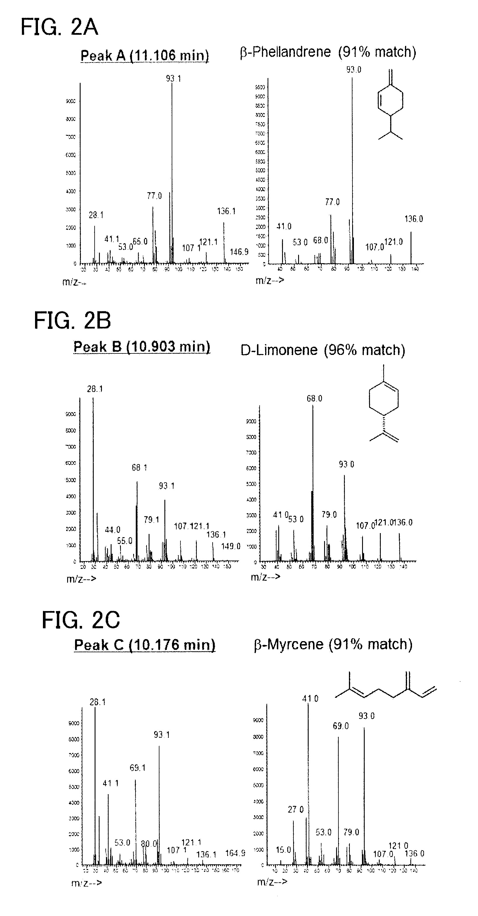 Recombinant cell, and method for producing beta-phellandrene