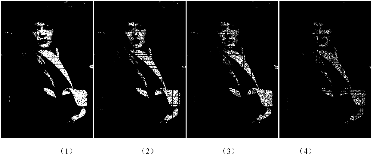Row and column loss image filling method based on low-rank matrix reconstruction and sparse representation