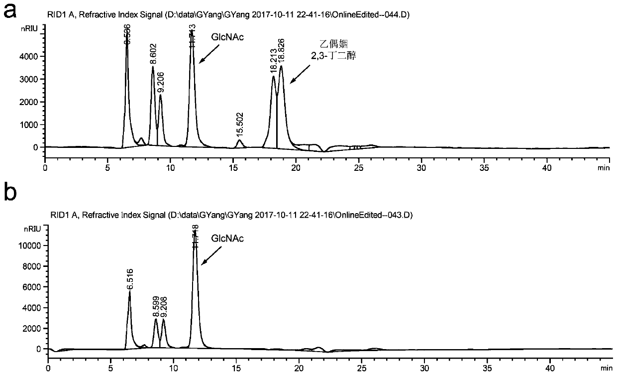 A method for promoting the synthesis of acetylglucosamine in Bacillus subtilis