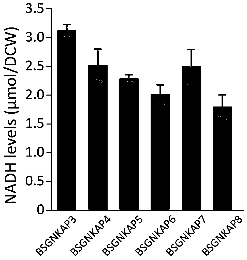 A method for promoting the synthesis of acetylglucosamine in Bacillus subtilis