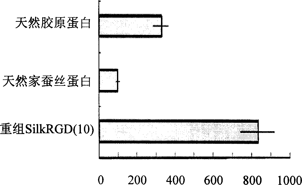 Recombinant fusion protein of fibroin and RGD, and its biological synthesis method