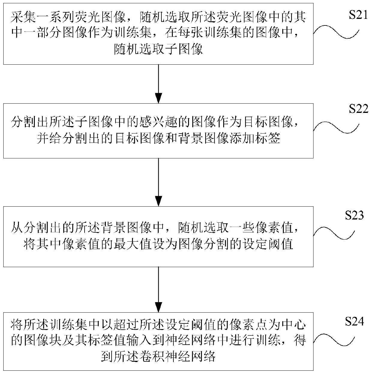 Segmentation method, device and storage medium of endoscopic fluorescence image