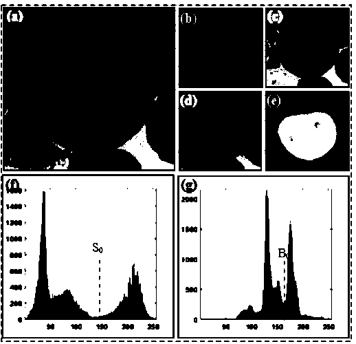 Blood leukocyte segmentation method based on adaptive histogram threshold value and contour detection