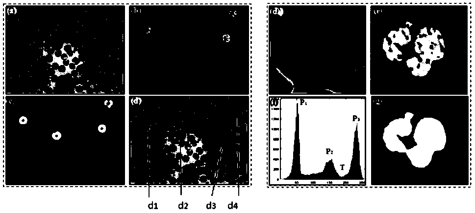 Blood leukocyte segmentation method based on adaptive histogram threshold value and contour detection