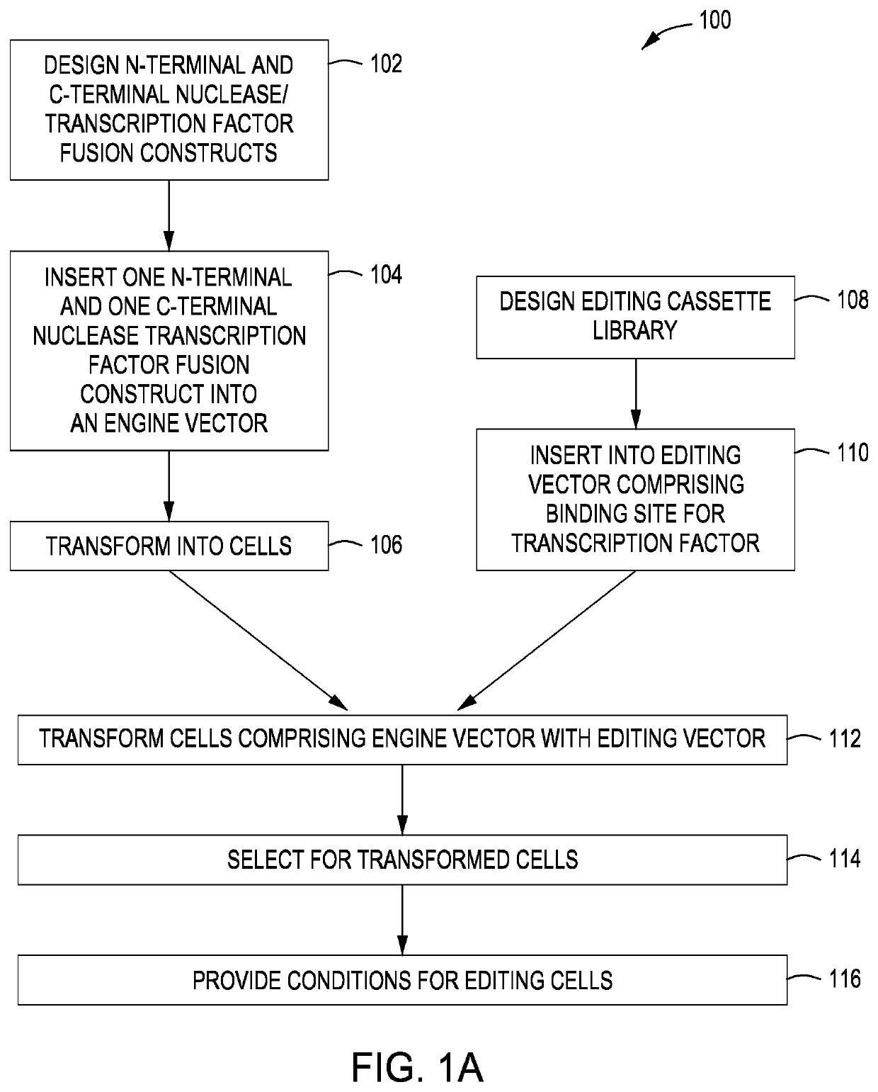 Split crispr nuclease tethering system