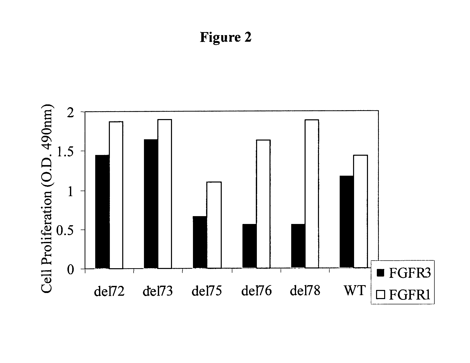 FGF-2 variants having N-terminal deletions and increased receptor selectivity and uses thereof
