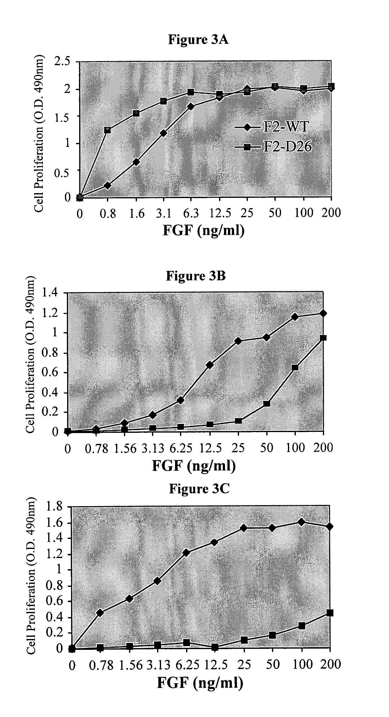 FGF-2 variants having N-terminal deletions and increased receptor selectivity and uses thereof
