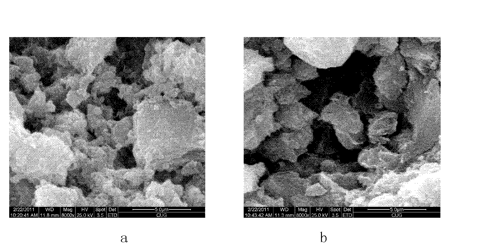 Preparation method of modified clinoptilolite ion exchanger