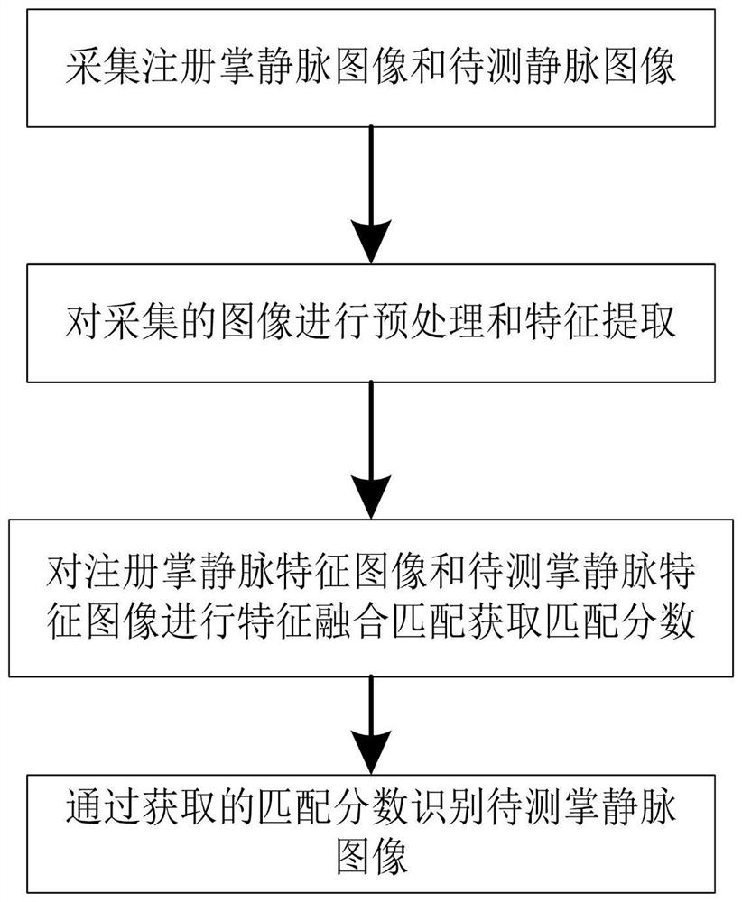 Multi-sample feature-based palm vein recognition method