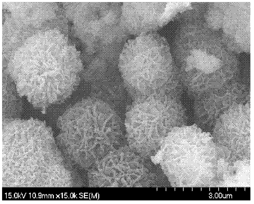 Preparation method of magnesium borate microspheres doped with europium red fluorescent powder with flower-like structure