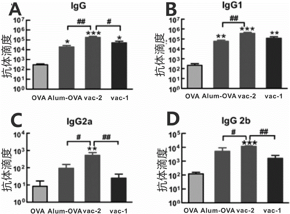 Application of short-peptide serving as vaccine adjuvant and vaccine