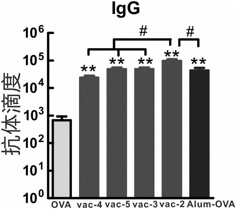 Application of short-peptide serving as vaccine adjuvant and vaccine