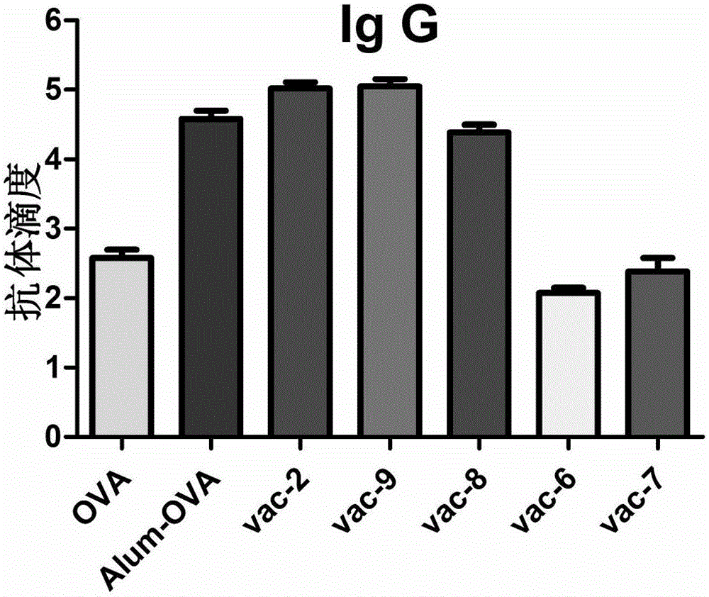 Application of short-peptide serving as vaccine adjuvant and vaccine