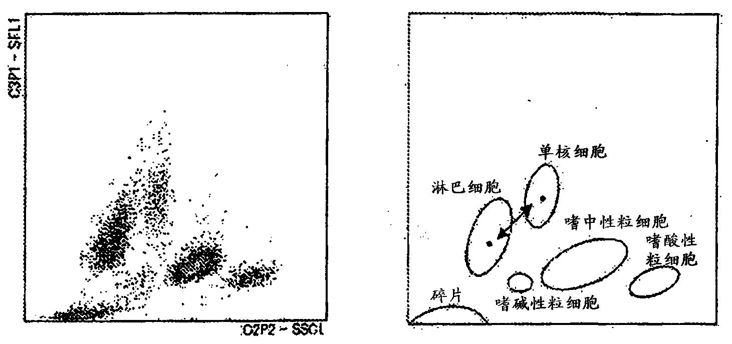 Method for classifying/counting leukocytes, reagent kit for classifying leukocytes, and reagent for classifying leukocytes