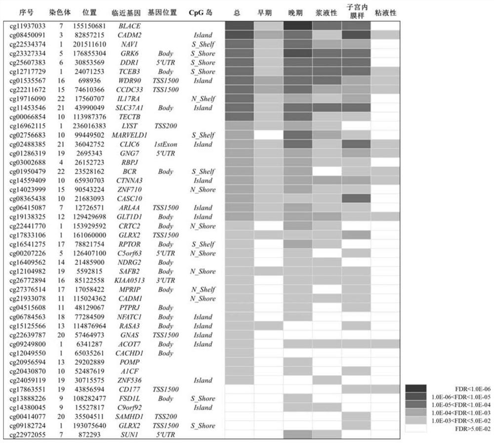 DNA methylation index for early diagnosis and risk assessment of cancer and its application