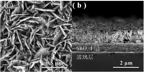 Copper bismuthate/ tungsten oxide composite film material, preparation method and application thereof in preparation of methane by photocatalytic carbon dioxide