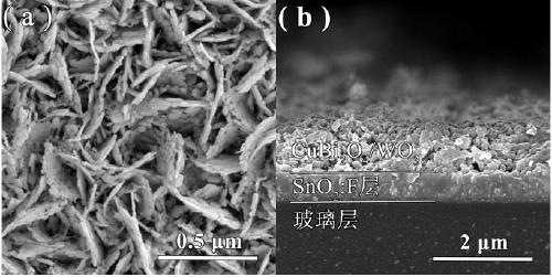 Copper bismuthate/ tungsten oxide composite film material, preparation method and application thereof in preparation of methane by photocatalytic carbon dioxide