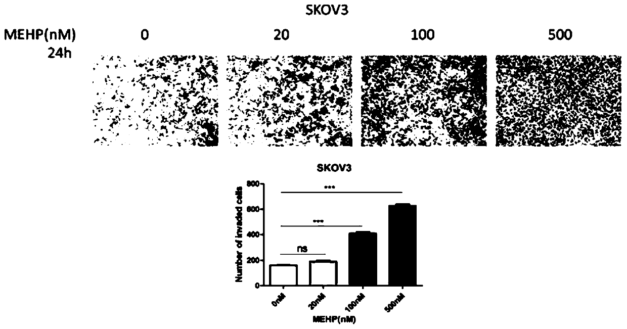 Application of long-chain non-coding RNA LINC00205 in preparation of reagent for diagnosing ovarian cancer or medicament for treating ovarian cancer