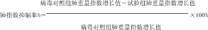 Traditional Chinese medicine preparation for treating viral pneumonia and preparation method and application thereof