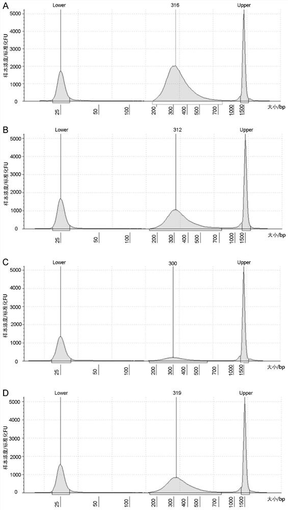 Pathogenic microorganism detection primer set, kit and method based on targeted sequencing