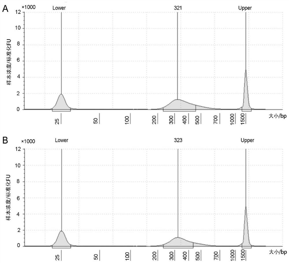 Pathogenic microorganism detection primer set, kit and method based on targeted sequencing