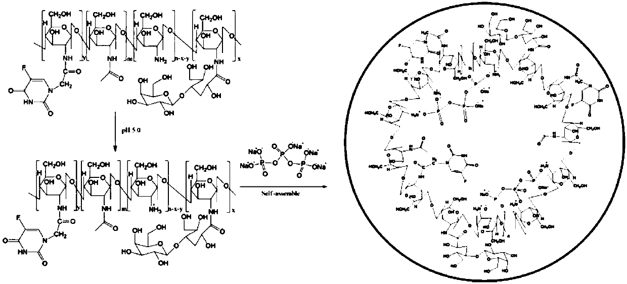 Preparation and application of nano-composite system of polycation macromolecular prodrug used for gene transfer