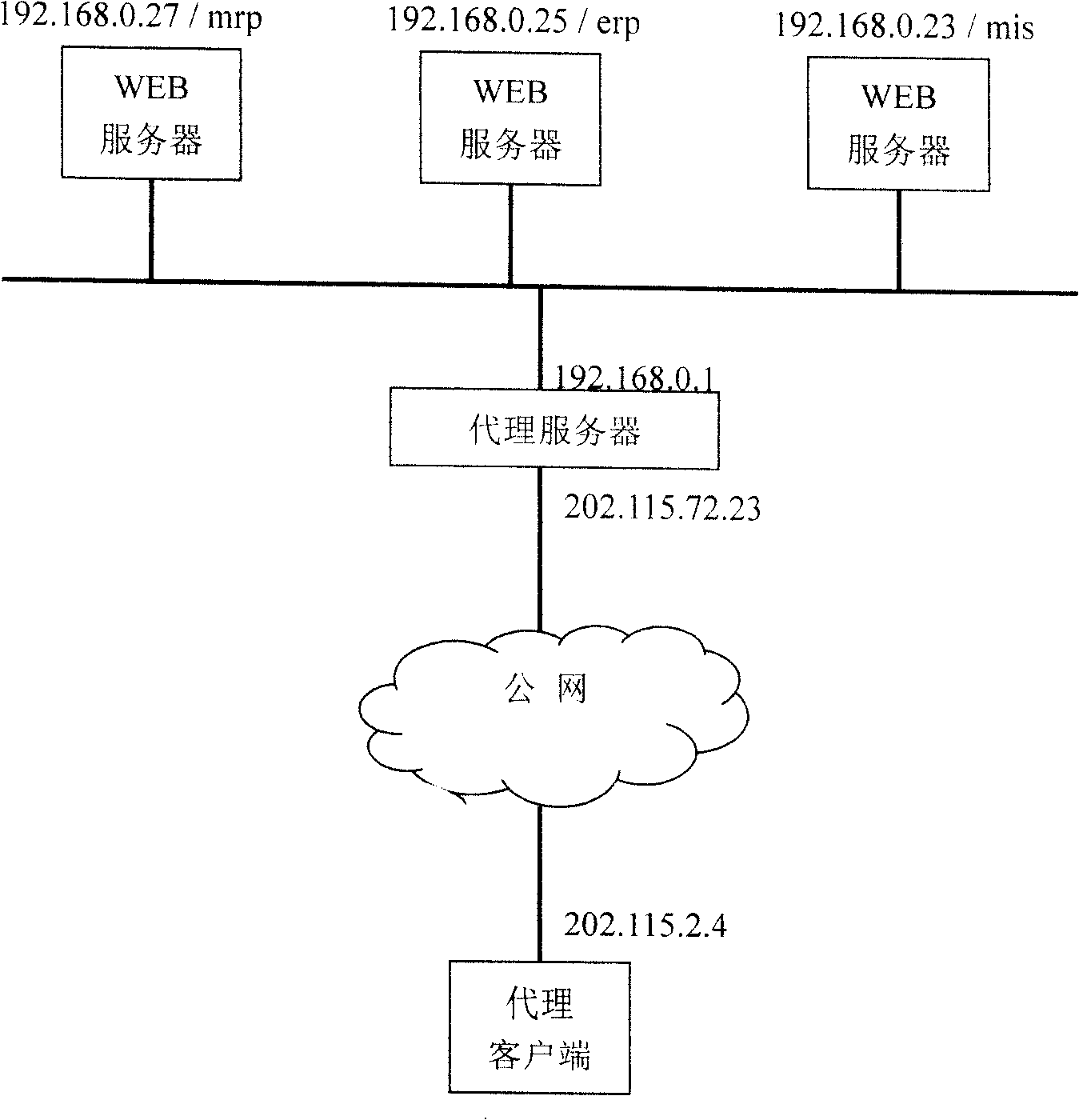 Virtual domain name resolution proxy method and system