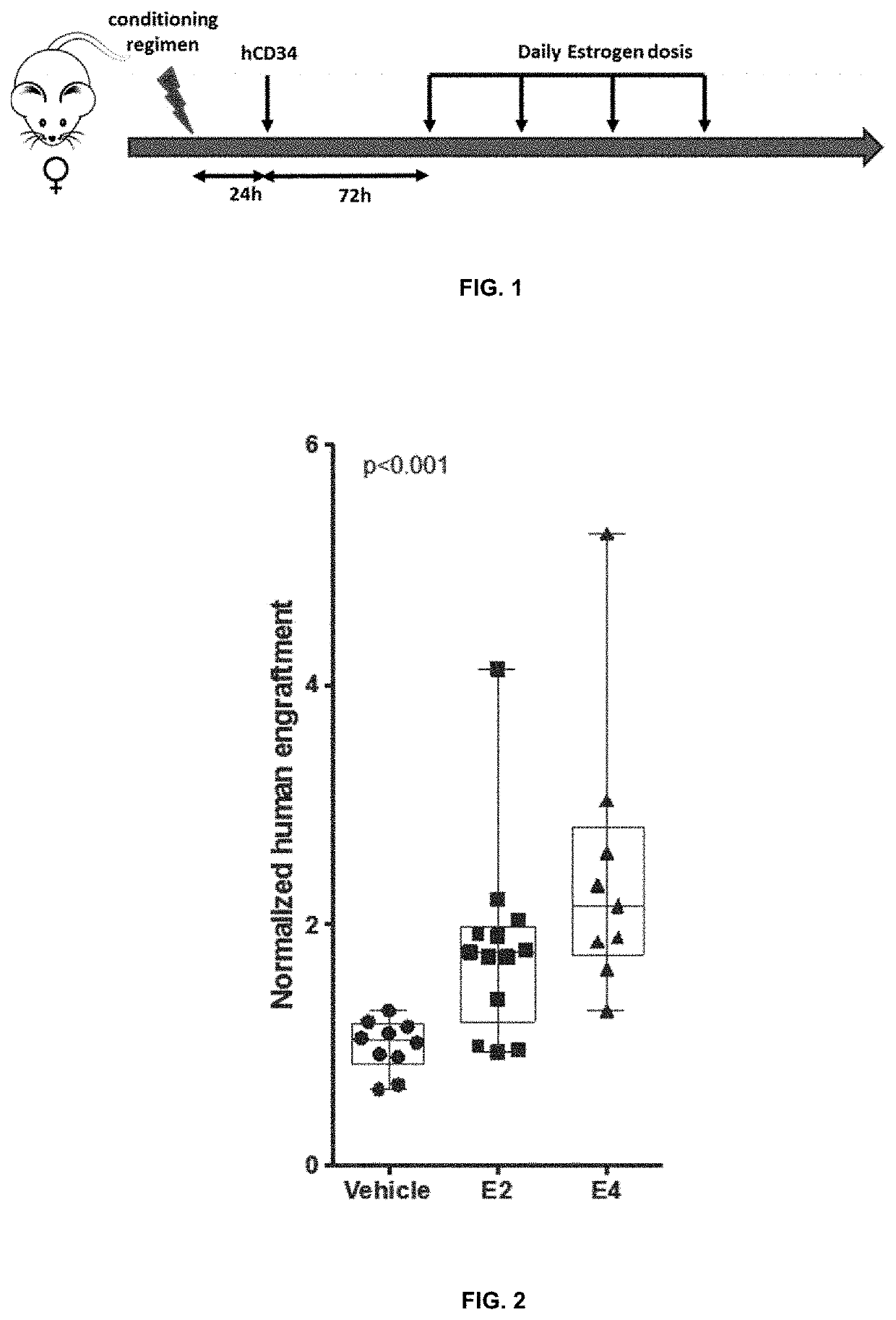Improvements for performing and facilitating the recovery after hematopoietic stem cell transplantation