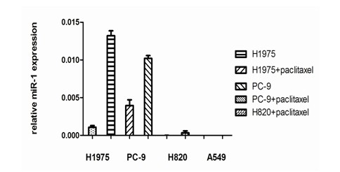 Application of paclitaxel in preparation of medicament for treatment of EGFR-TKI acquired resistance