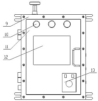 Explosion-proof radioactive aerosol on-line monitoring device