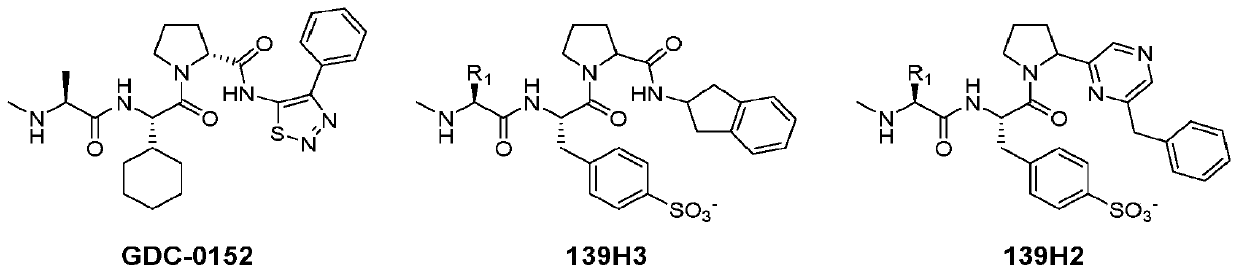 Novel agents targeting inhibitor of apoptosis proteins