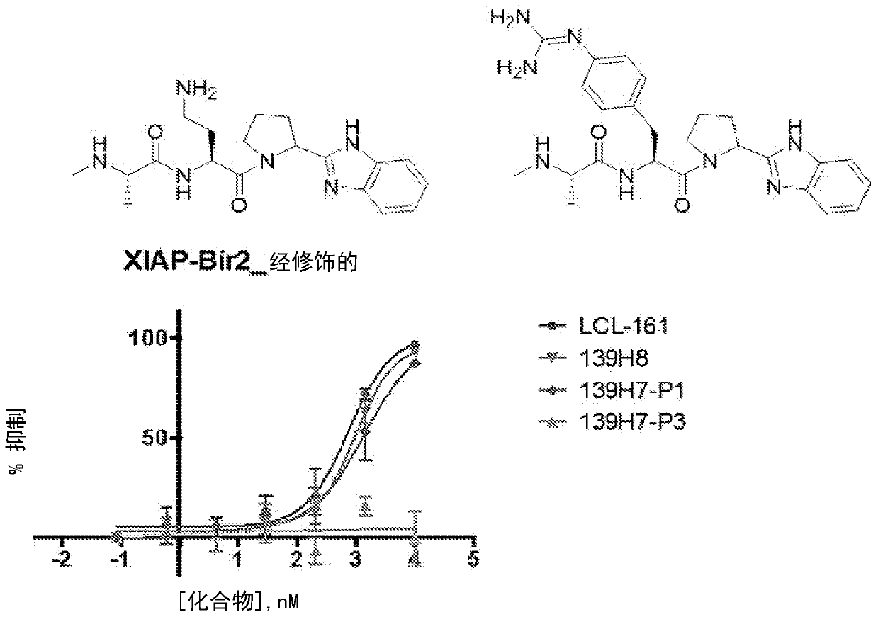 Novel agents targeting inhibitor of apoptosis proteins