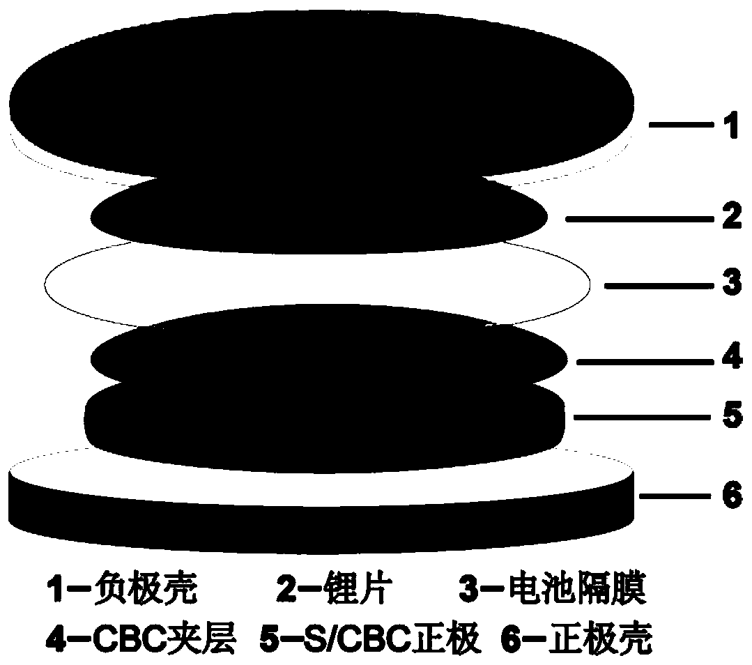 A battery positive electrode based on nitrogen-doped carbonized bacterial cellulose, lithium-sulfur battery and preparation method thereof