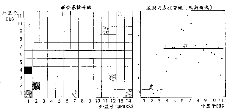 Fusion gene microarray