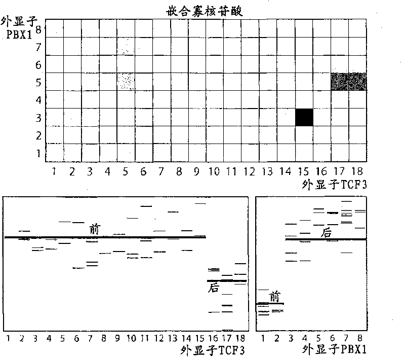 Fusion gene microarray