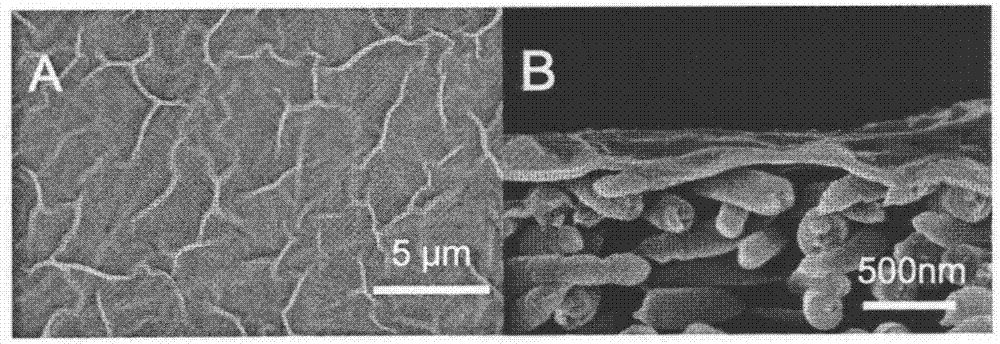 Nano-fiber-based composite pervaporation membrane and preparation method thereof