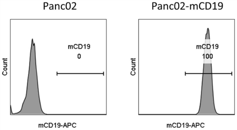 Engineered immune cells and uses thereof