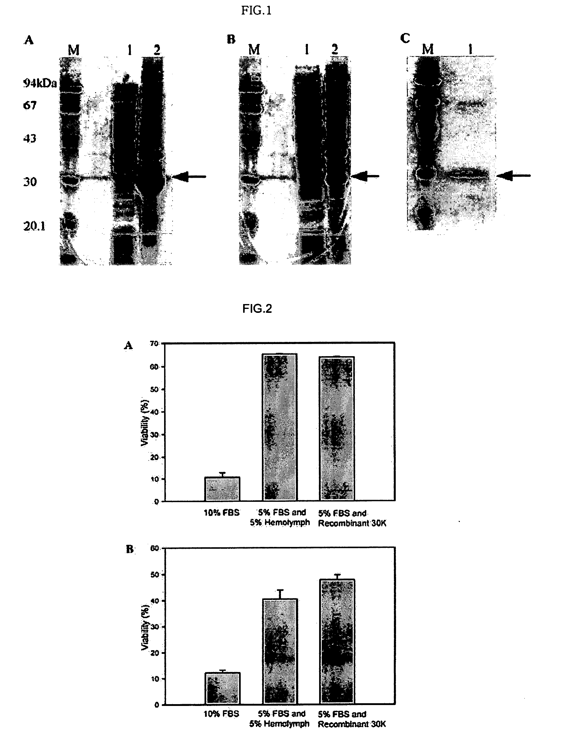 DNA encoding anti-apoptotic protein and recombinant 30K protein