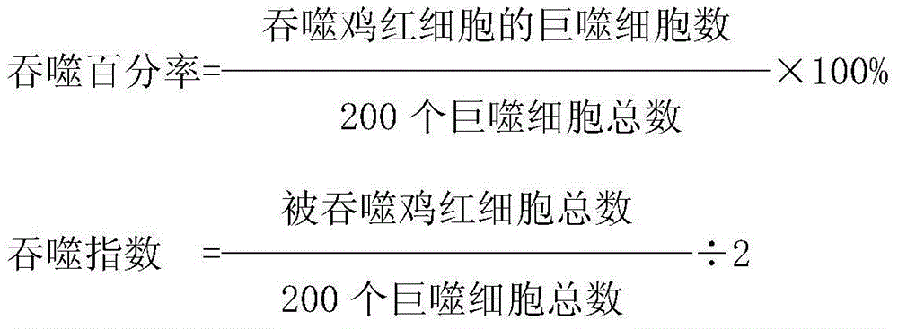 Traditional Chinese medicine for treating cold and preparation method thereof