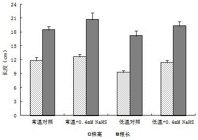 Application of hydrogen sulfide and hydrogen sulfide donor in preparation of rice seed induction cold-resistant sprout-promoting fertilizer