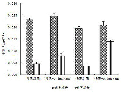 Application of hydrogen sulfide and hydrogen sulfide donor in preparation of rice seed induction cold-resistant sprout-promoting fertilizer