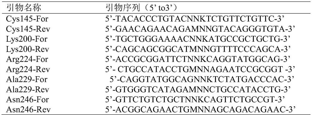 Nitrilase mutant, engineering bacterium and application of nitrilase mutant