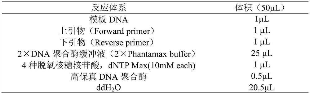 Nitrilase mutant, engineering bacterium and application of nitrilase mutant