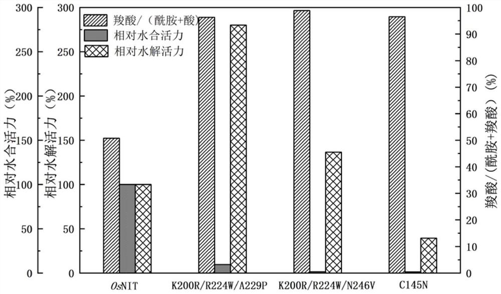 Nitrilase mutant, engineering bacterium and application of nitrilase mutant